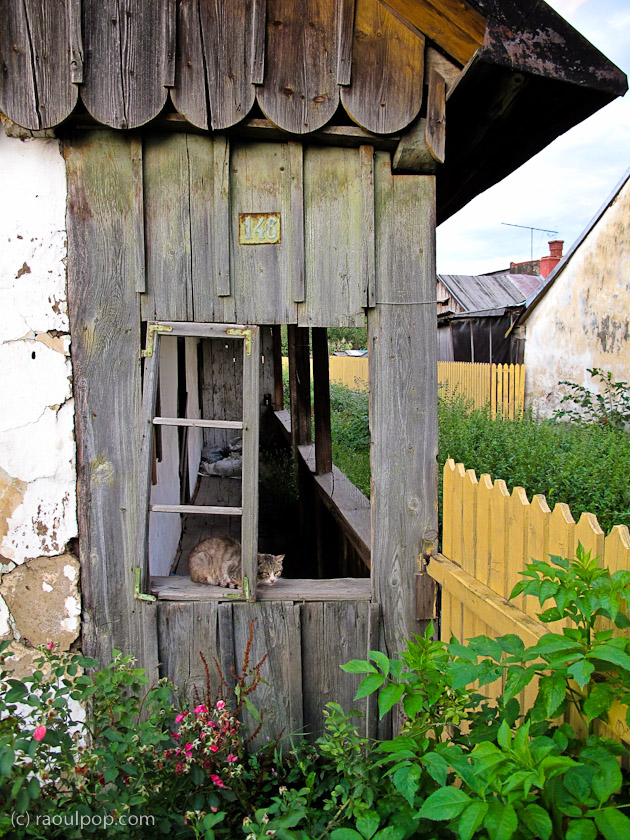 On the streets of Radauti