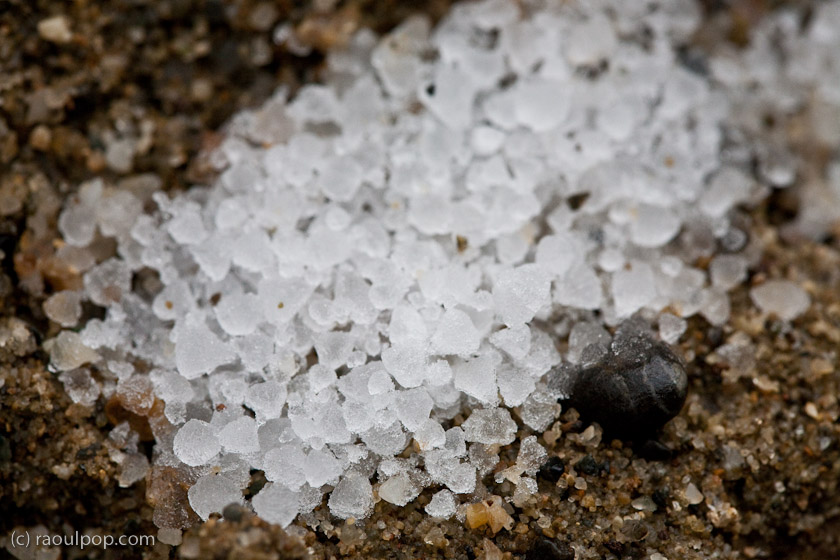 october-hailstorm-medias-22 october-hailstorm-medias-22