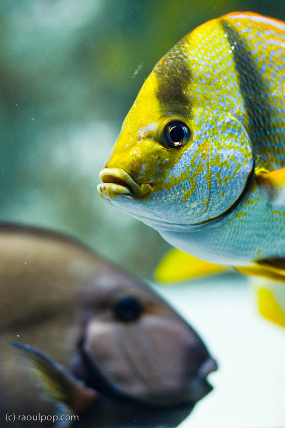 baltimore-aquarium-110 baltimore-aquarium-110