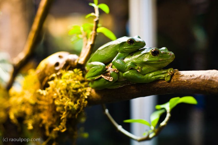 baltimore-aquarium-144 baltimore-aquarium-144