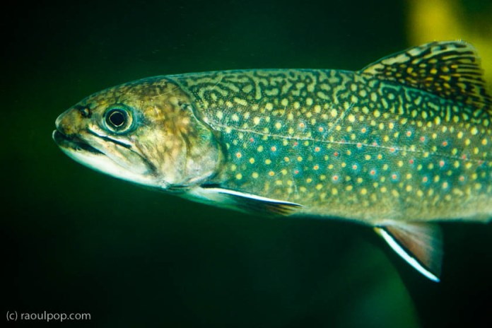 baltimore-aquarium-2 baltimore-aquarium-2