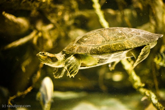 baltimore-aquarium-67 baltimore-aquarium-67