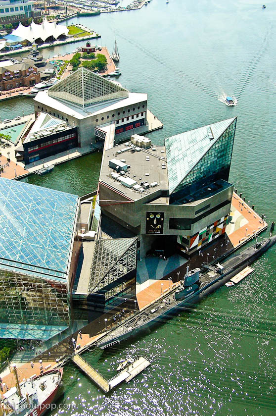 Aerial view of the Baltimore Aquarium Aerial view of the Baltimore Aquarium