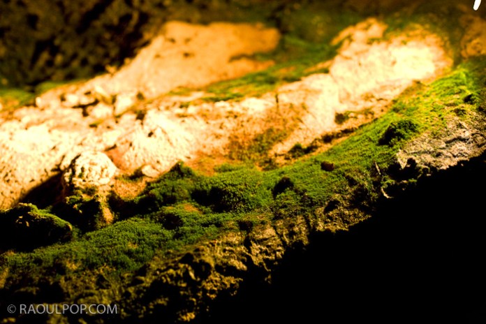 Inside the Natural Rock Caverns, Natural Bridge, Virginia, USA.