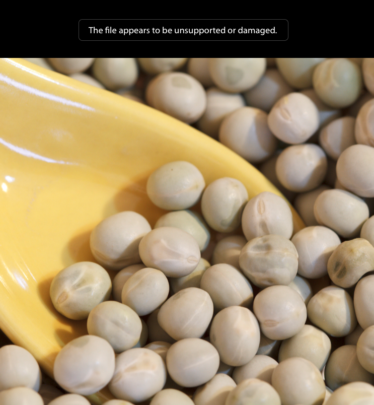 lr-file-unsupported-or-damaged