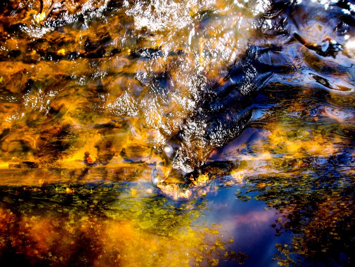 Shadows, eddies and reflections