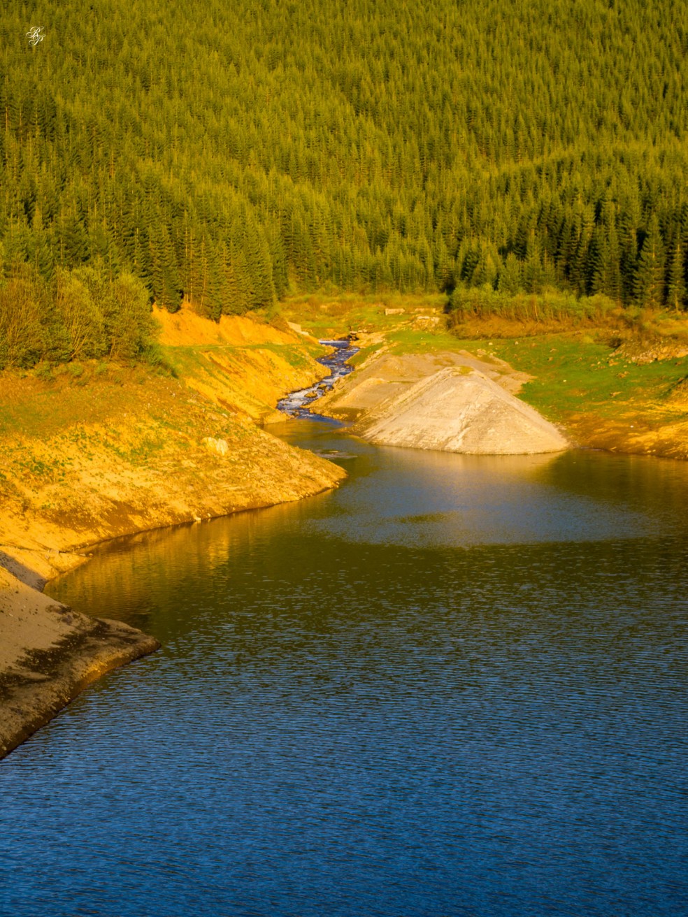Lacul Oasa