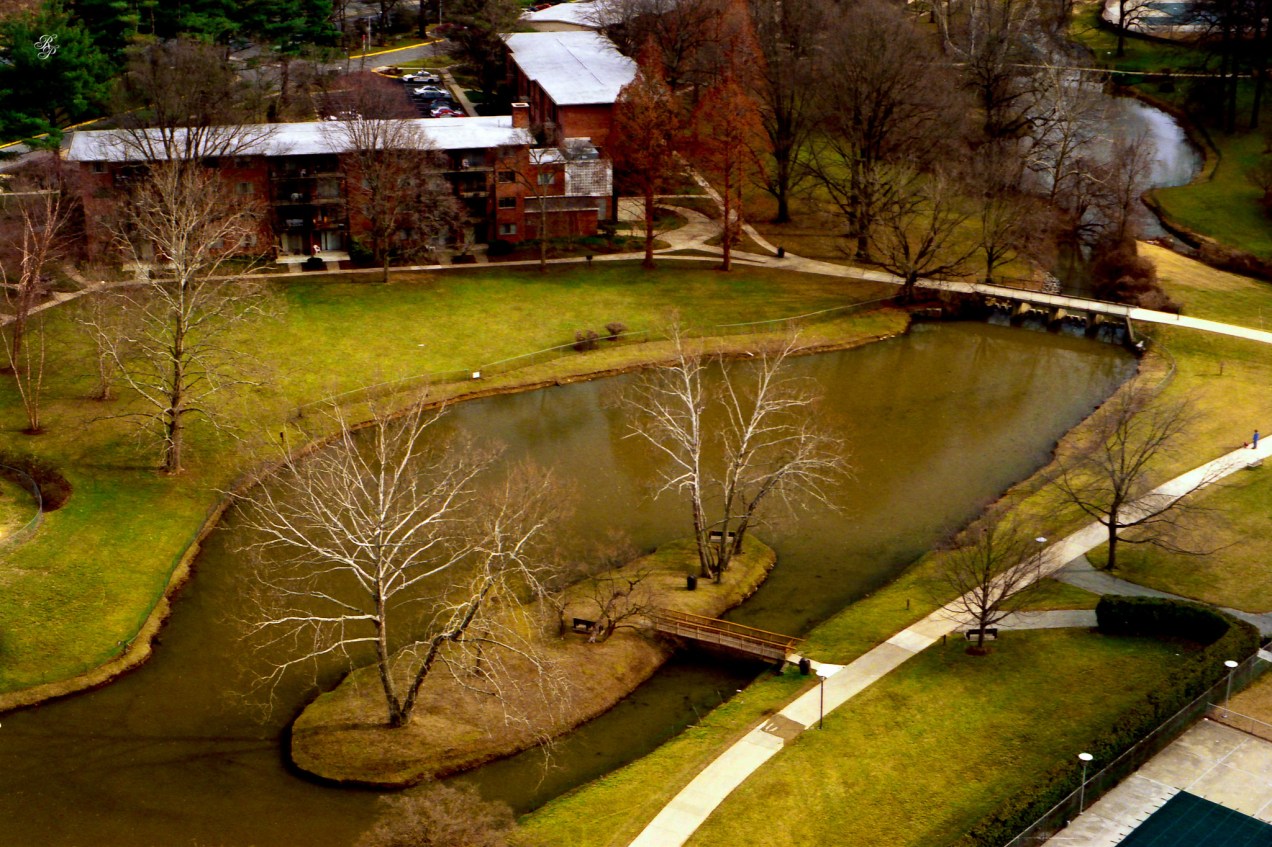 Spring in Grosvenor Park