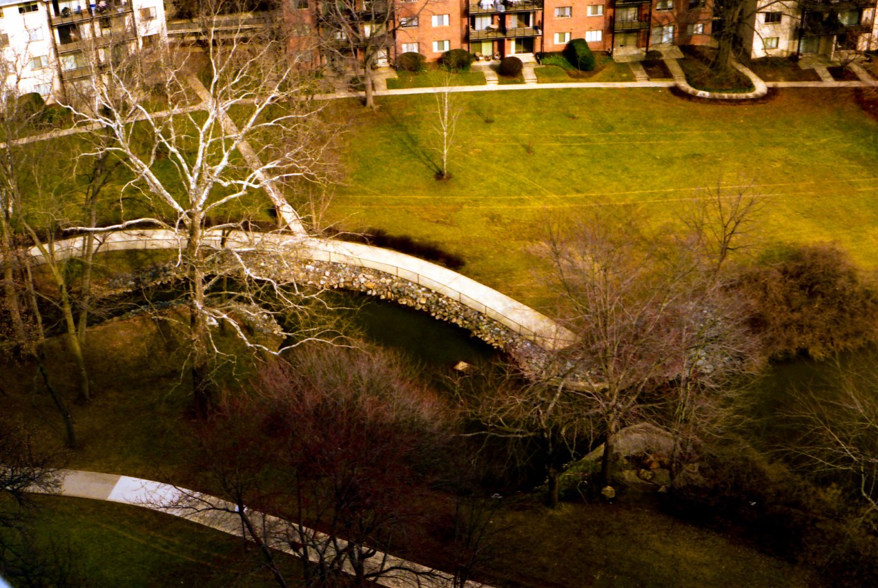Spring in Grosvenor Park