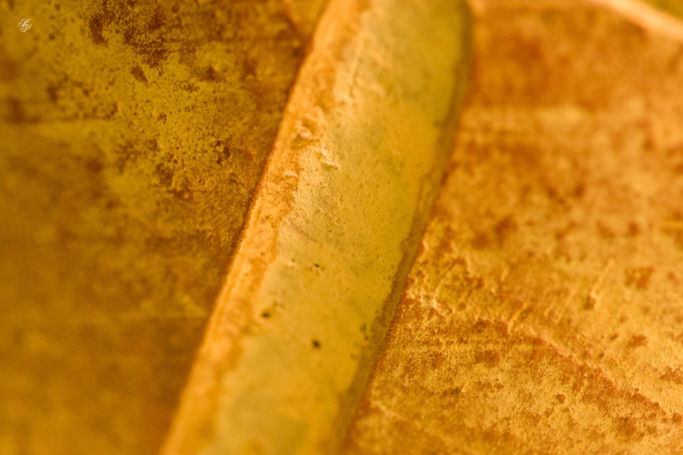 Close-up, pottery, a vase painted with a reddish-beige color.