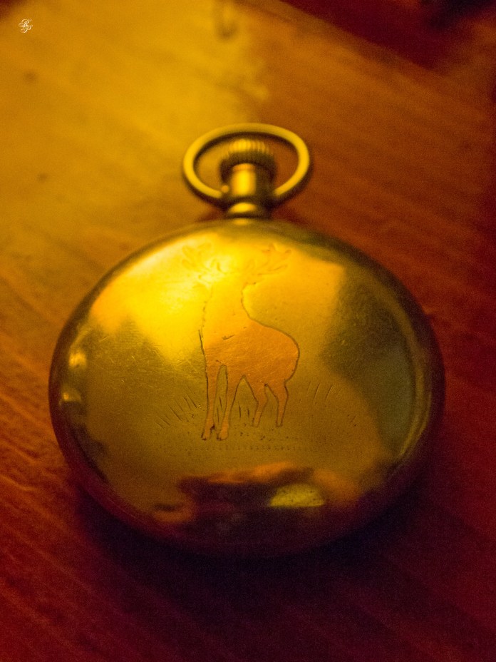 1899 Elgin Pocket Watch