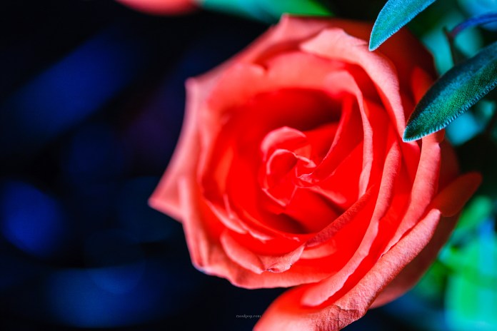 Wisdom shines in many ways