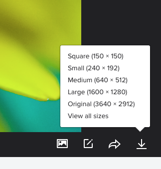 Flickr download options