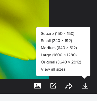 Flickr download options