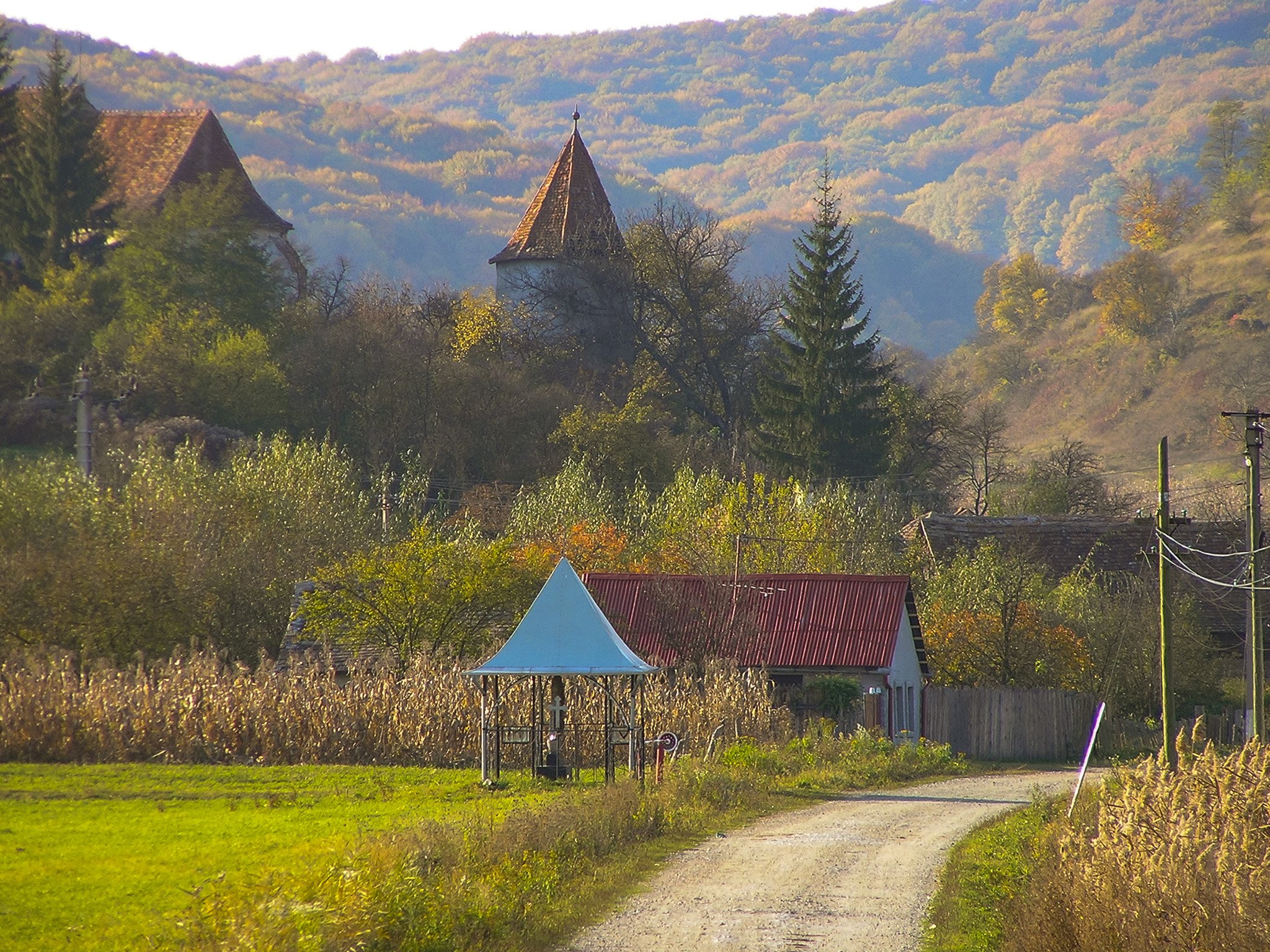 In the village of Moardas, Transilvania, Romania