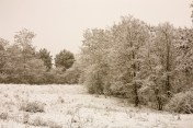 Winterscape