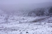 Winterscape II