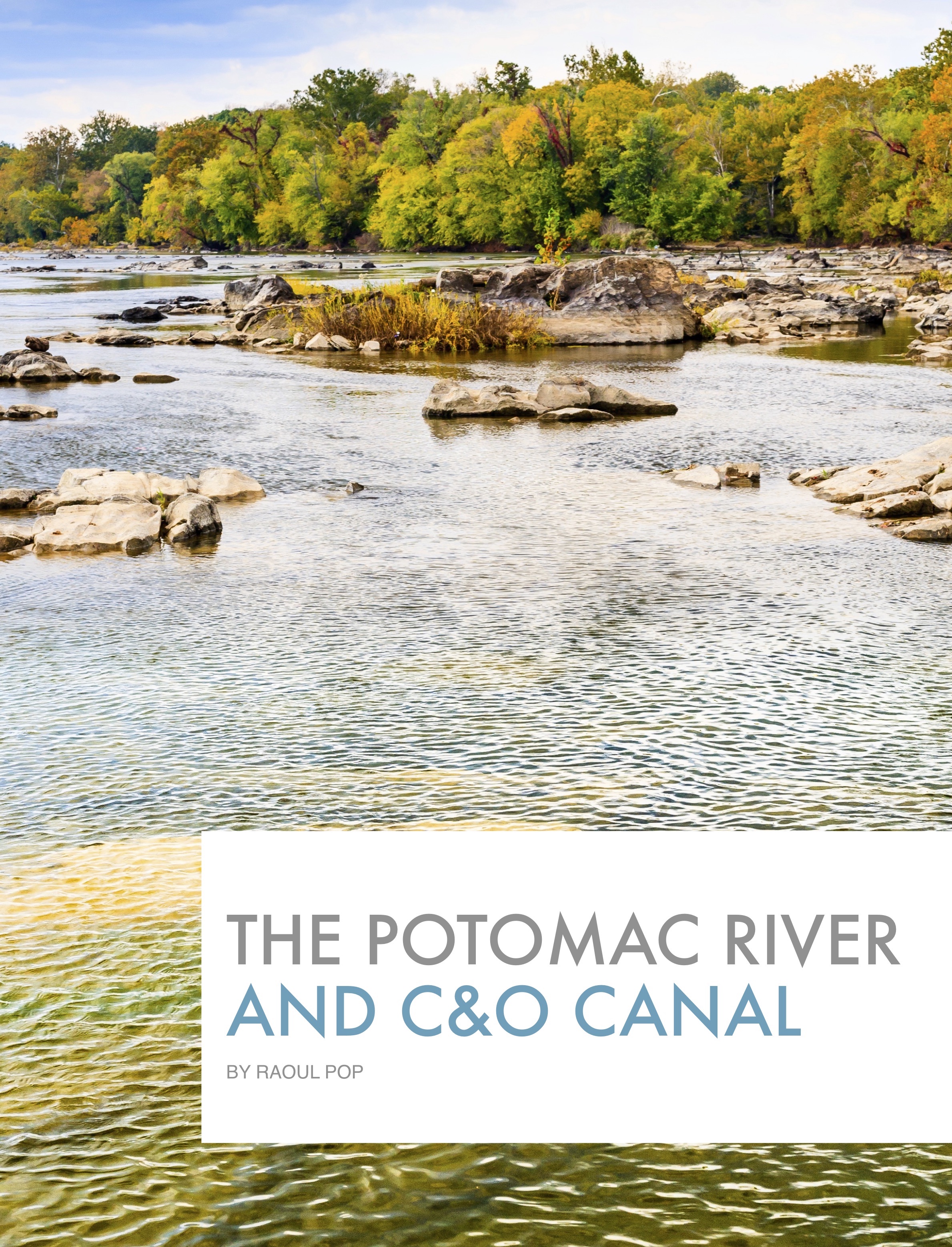 Cover art for this edition of the book